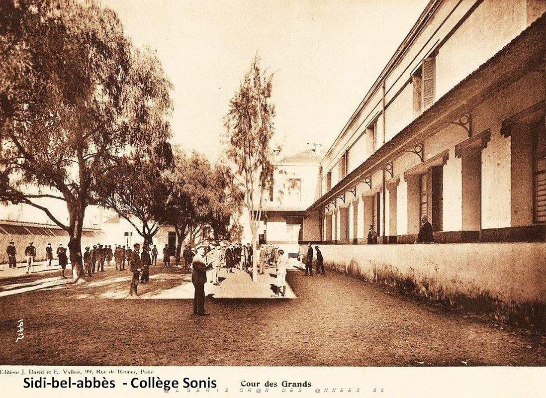 SIDI BEL ABBES ECOLE SONIS (7).jpg